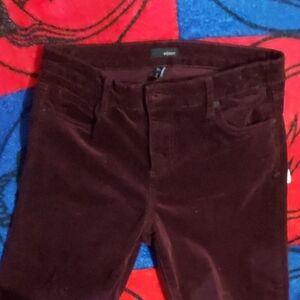 Velvety Soft Trousers In Burgundy By Edyson. Sz 30